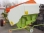 Жатка зерновая CLAAS C 750 Auto Contour