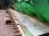 Жатка JOHN DEERE 925F